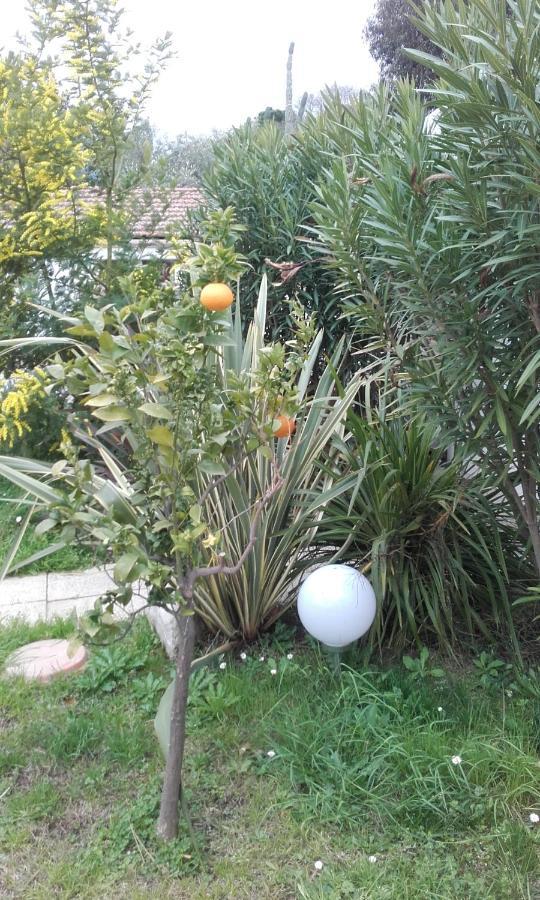 ארגלס-סור-מר Hotel Clair Logis מראה חיצוני תמונה